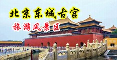 鸡巴视频69xx中国北京-东城古宫旅游风景区