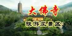 骚逼扣穴屄肏中国浙江-新昌大佛寺旅游风景区